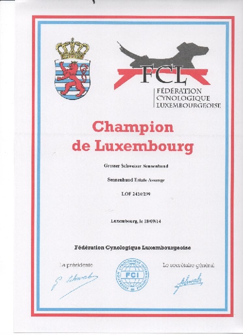 De Brapêche - Aslan officiellement champion de Luxembourg