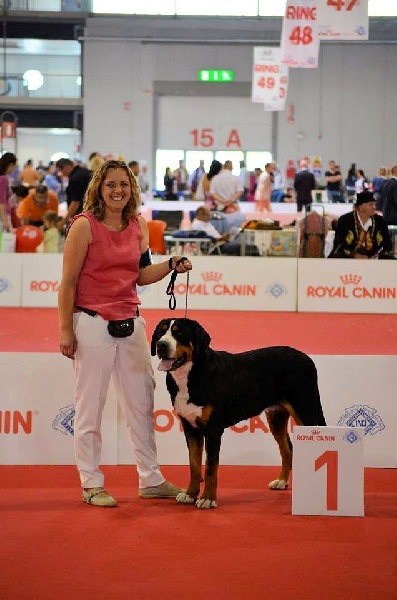 World Dog Show 2015 MILAN